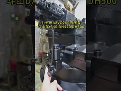 खुदाई हाइड्रोलिक पंप